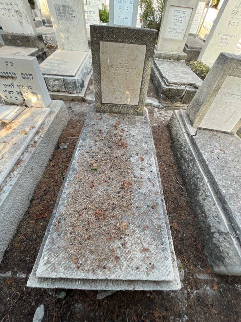קברו של צבי גולדברג