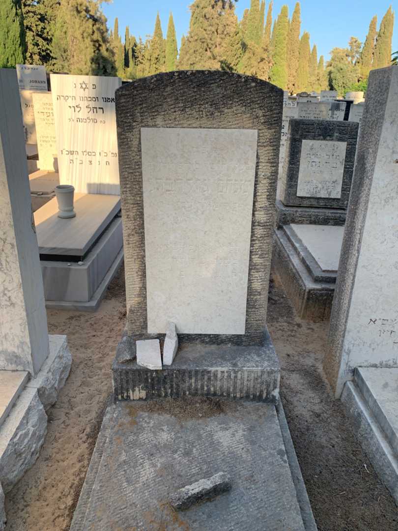 קברו של מנחם גולדברג