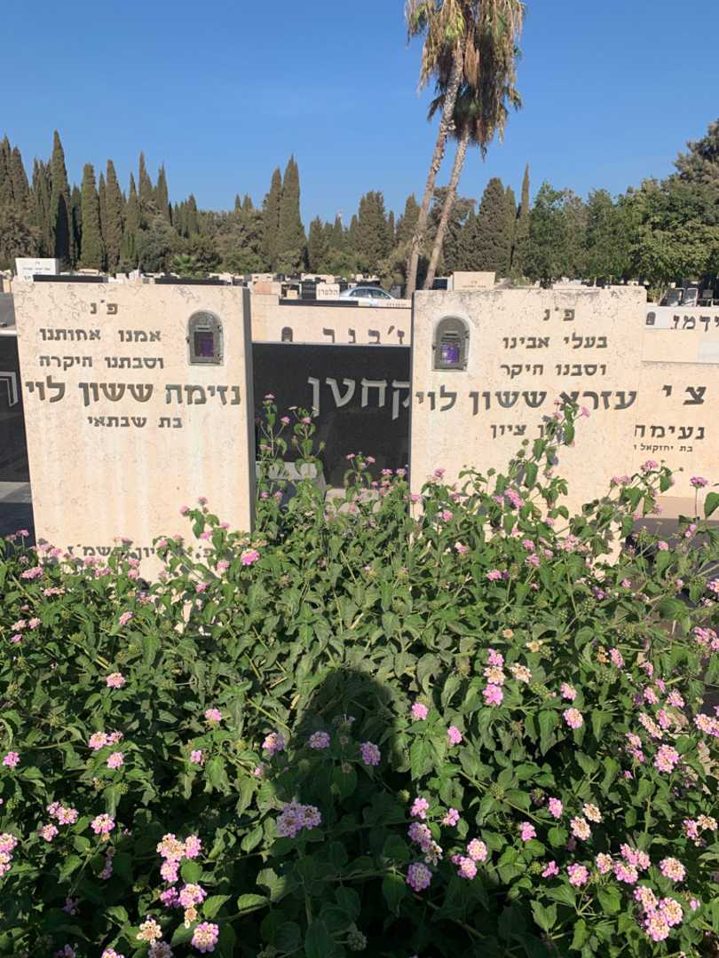 קברו של נזימה ששון לוי. תמונה 1