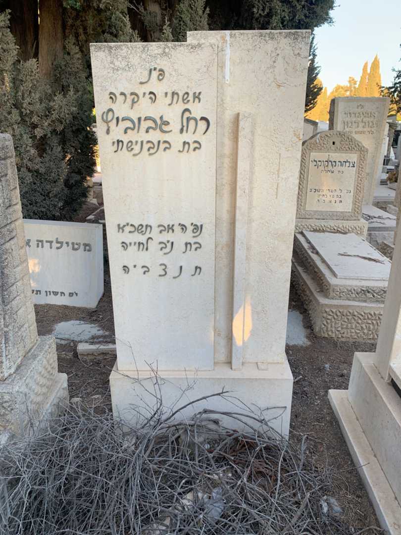 קברו של רחל גבוביץ