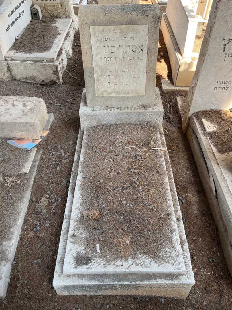 קברו של אסתר פיול