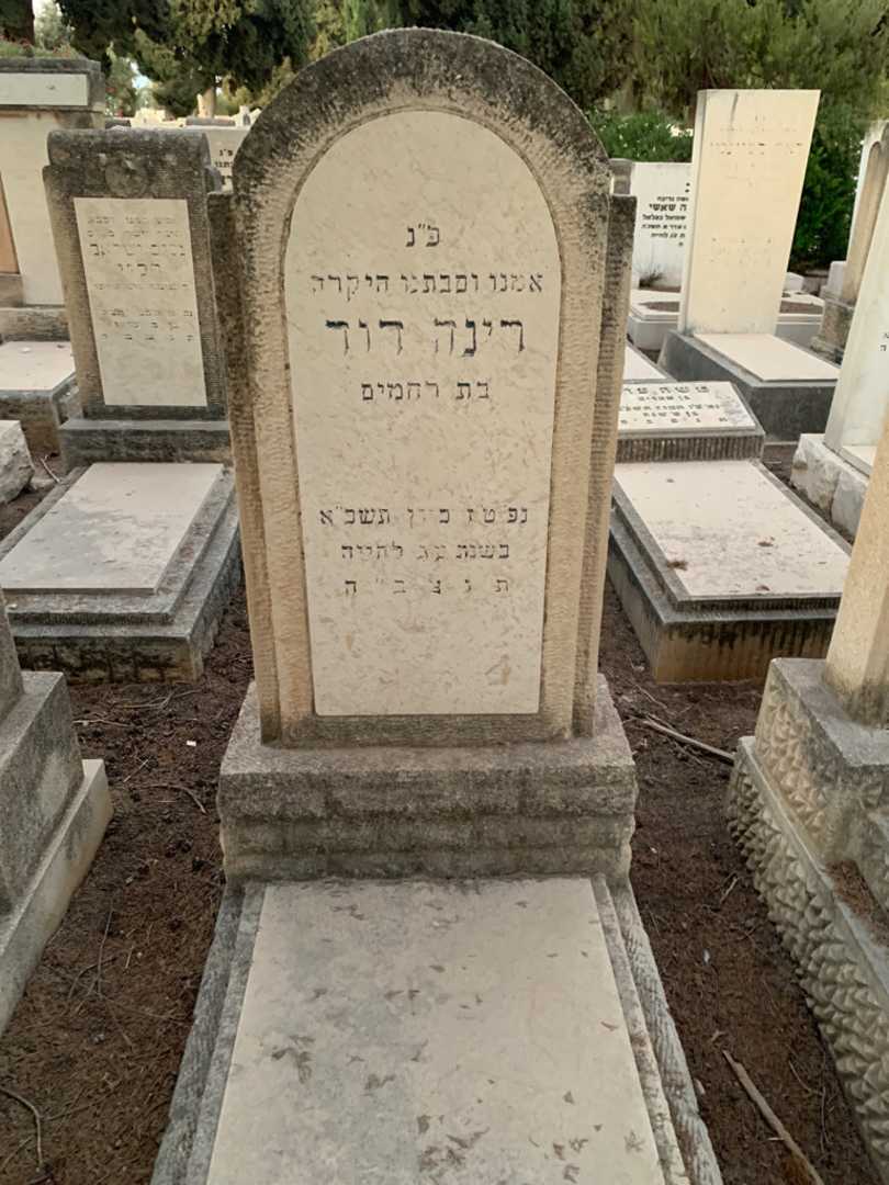 קברו של רינה דוד