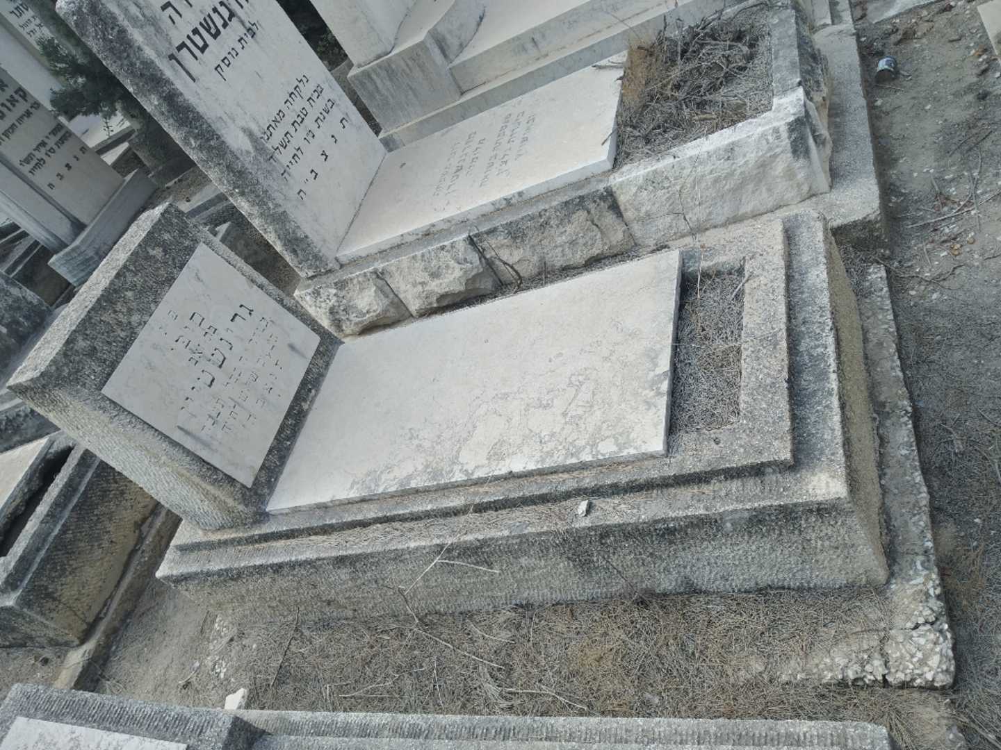 קברו של סופי גרינשטיין