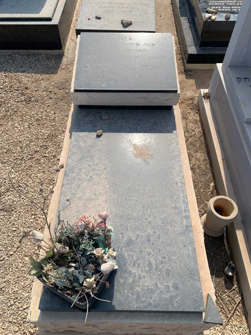 קברו של לאה "אליאן" טייג שור. תמונה 1