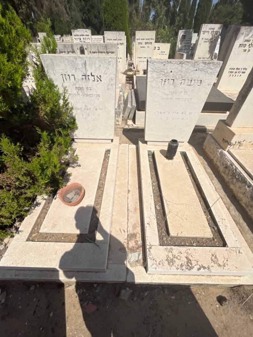 קברו של אלזה רוזן. תמונה 1