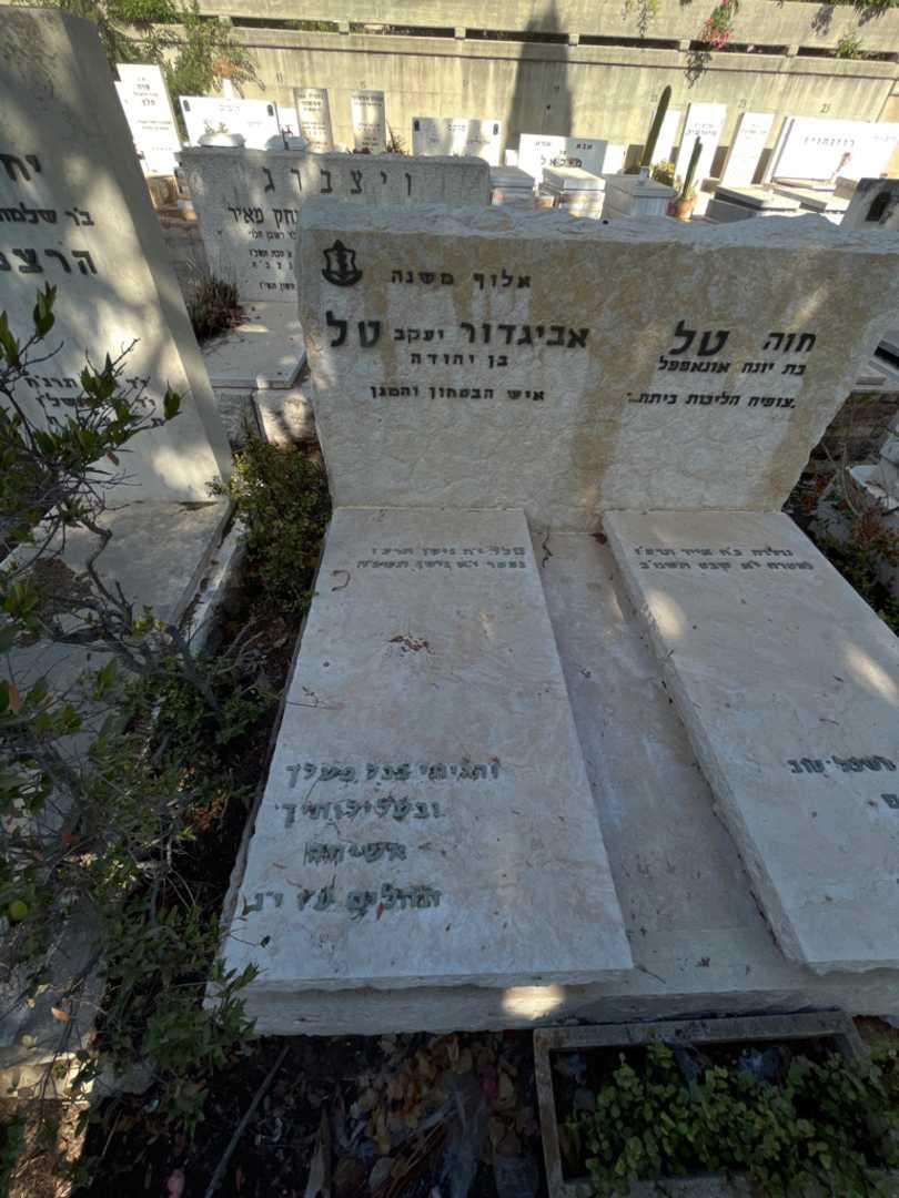 קברו של אביגדור "יעקב" טל. תמונה 1