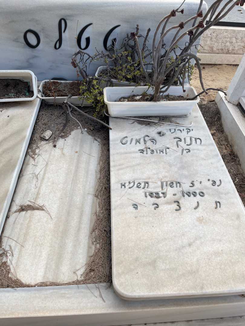 קברו של חנוך הלמוט טטלס. תמונה 2