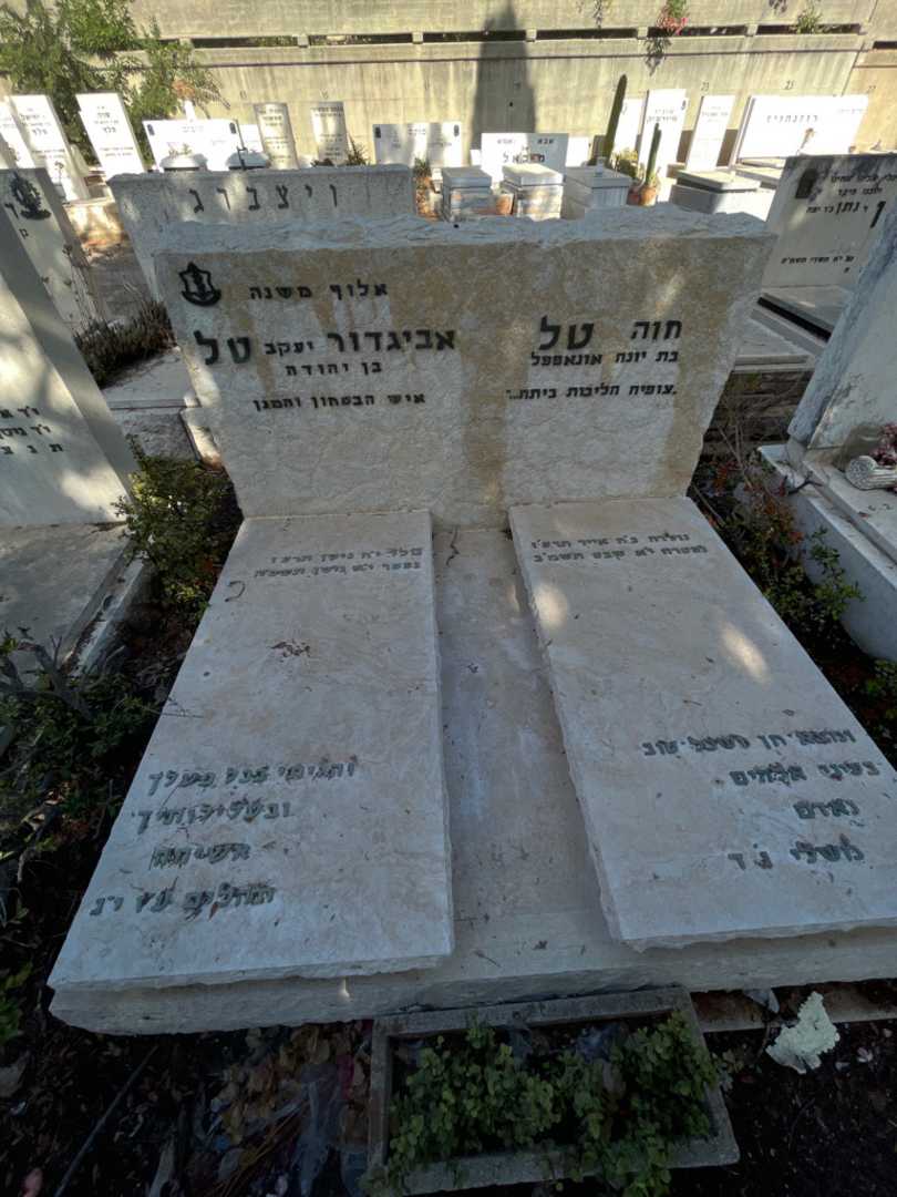 קברו של אביגדור "יעקב" טל. תמונה 2