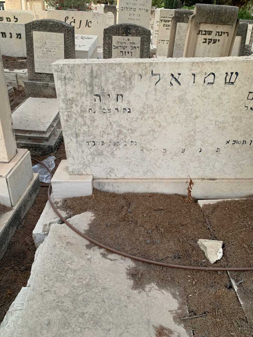 קברו של חיה שמואל. תמונה 2