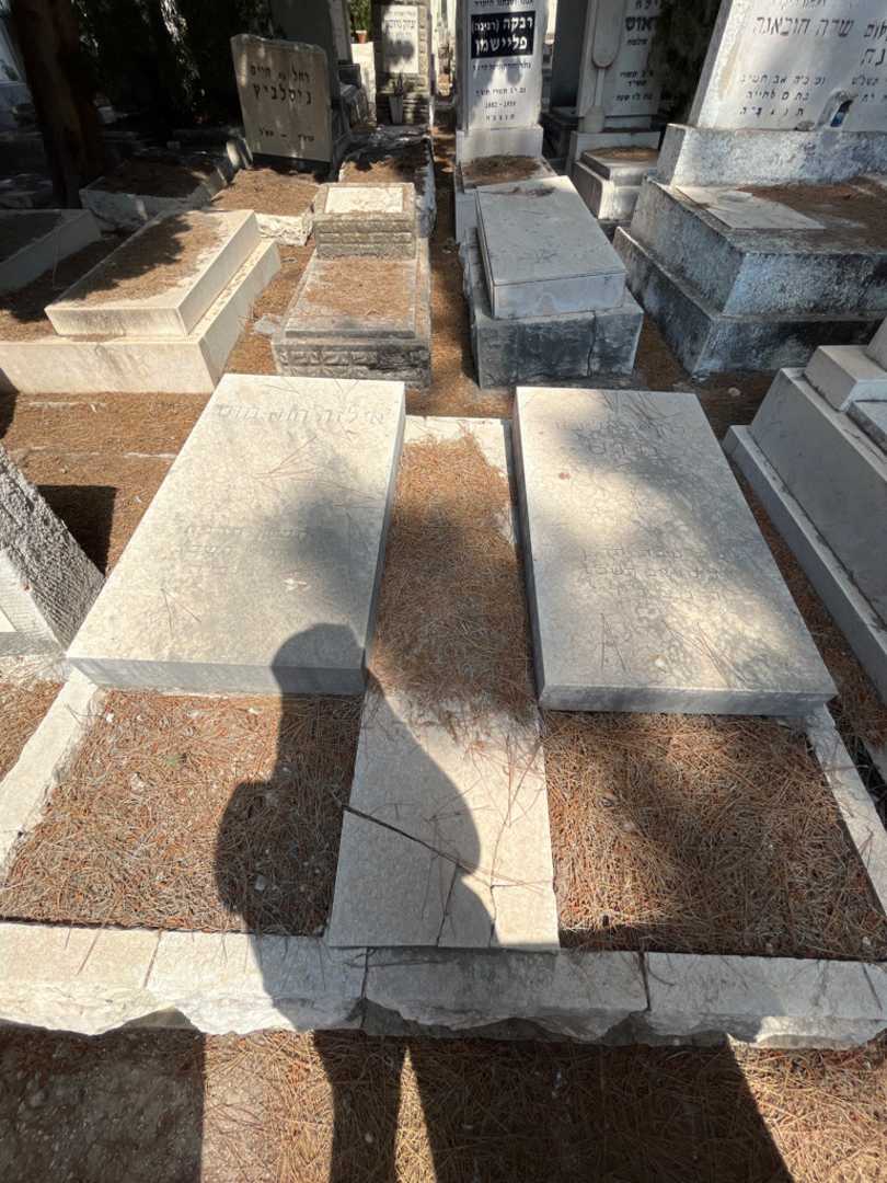 קברו של לודויג אליעזר מוס. תמונה 1