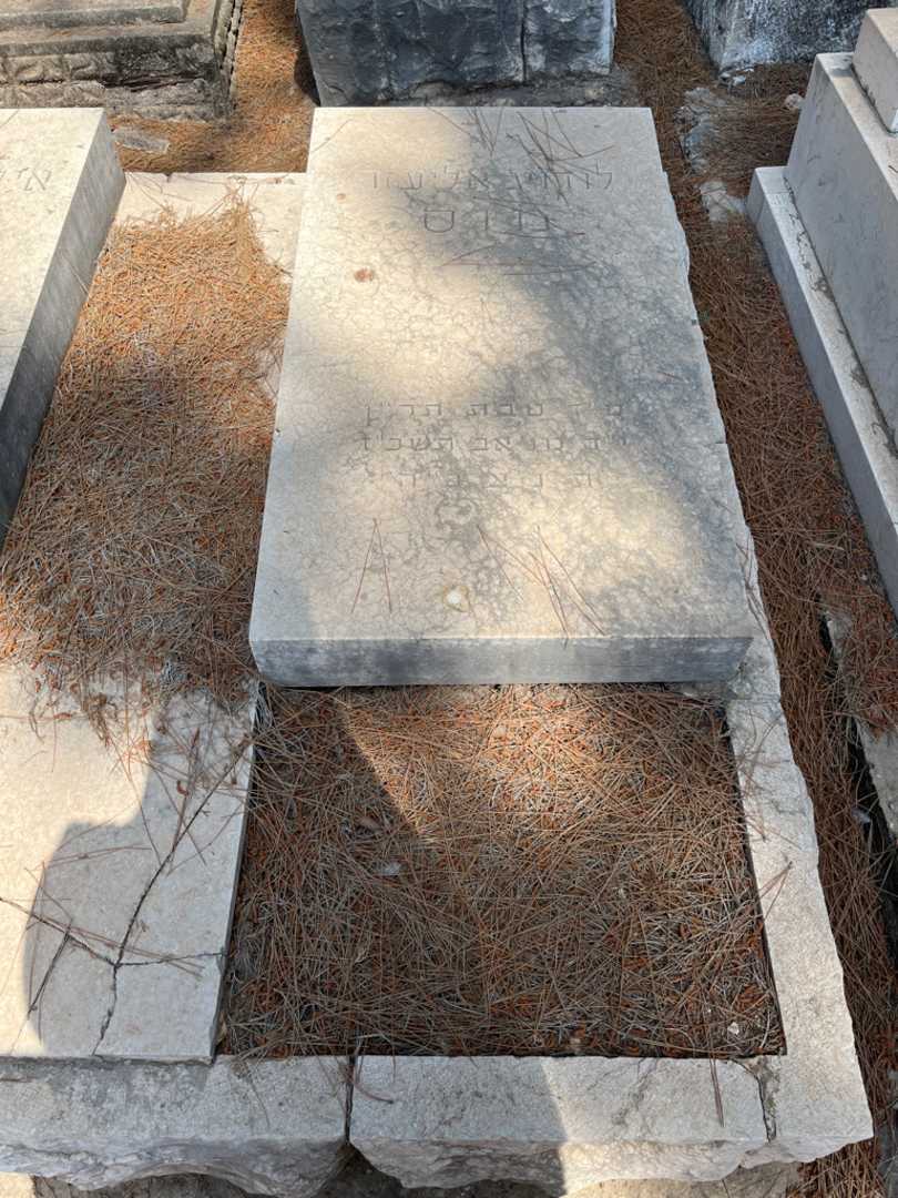 קברו של לודויג אליעזר מוס. תמונה 2