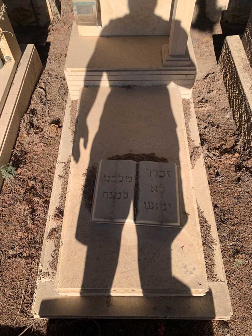קברו של אהרן סלמן בסון. תמונה 2
