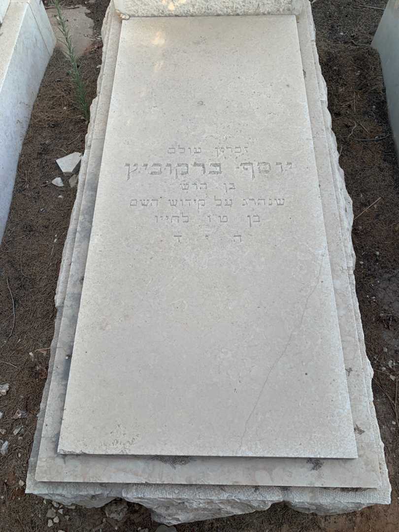 קברו של יוסף ברקוביץ. תמונה 2