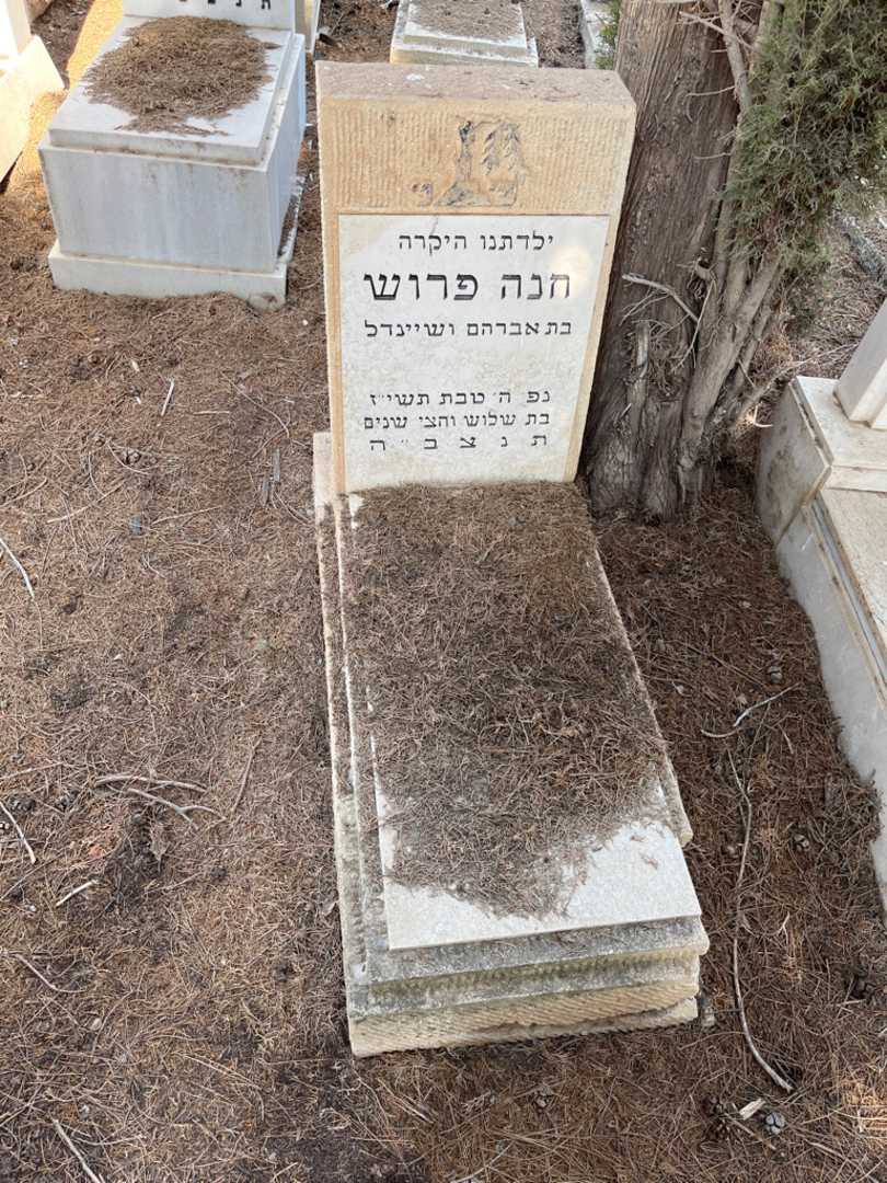 קברו של חנה פרוש