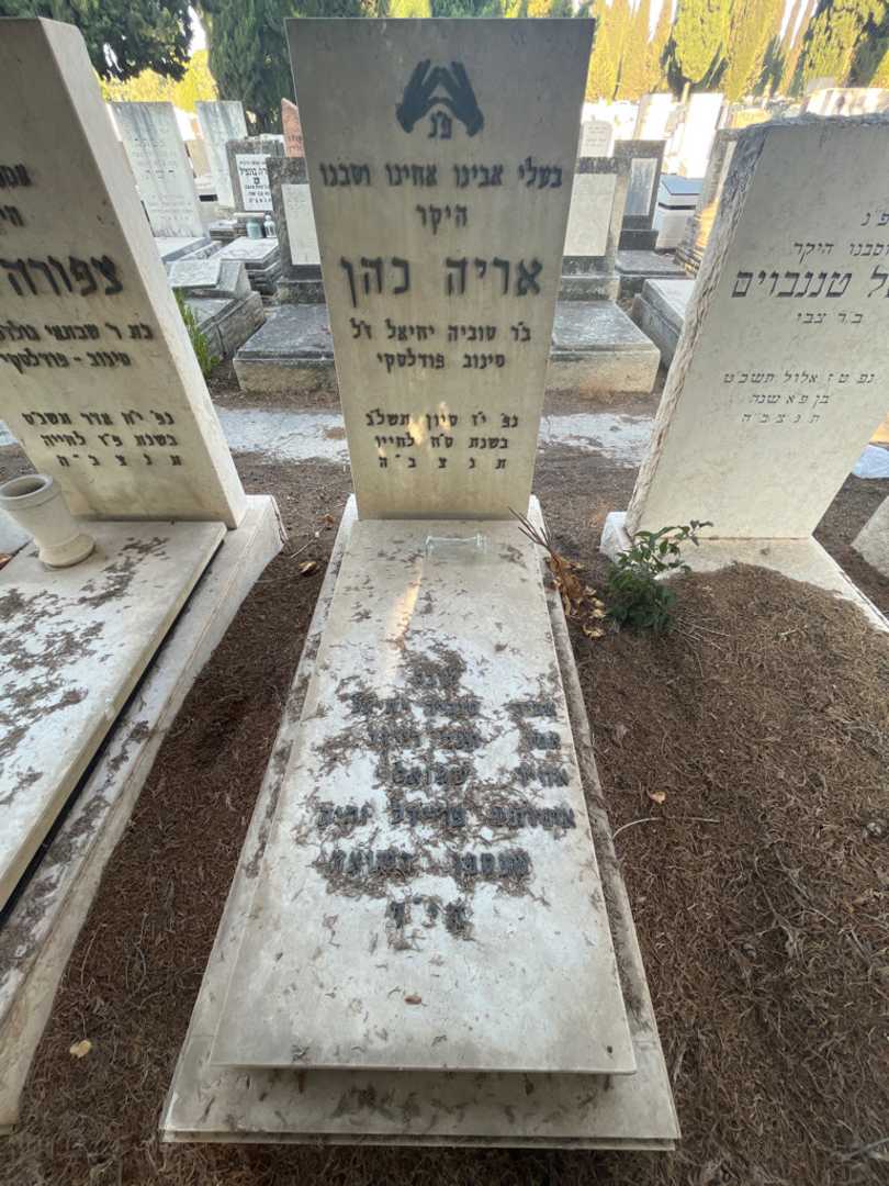 קברו של אריה כהן. תמונה 1