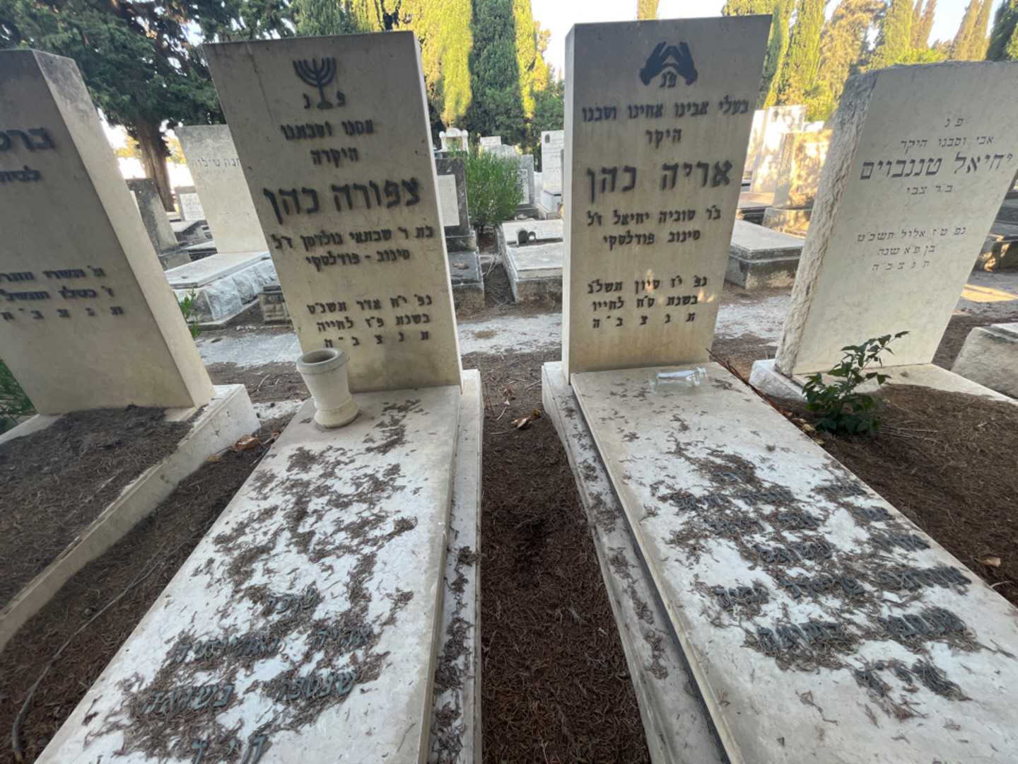 קברו של אריה כהן. תמונה 2