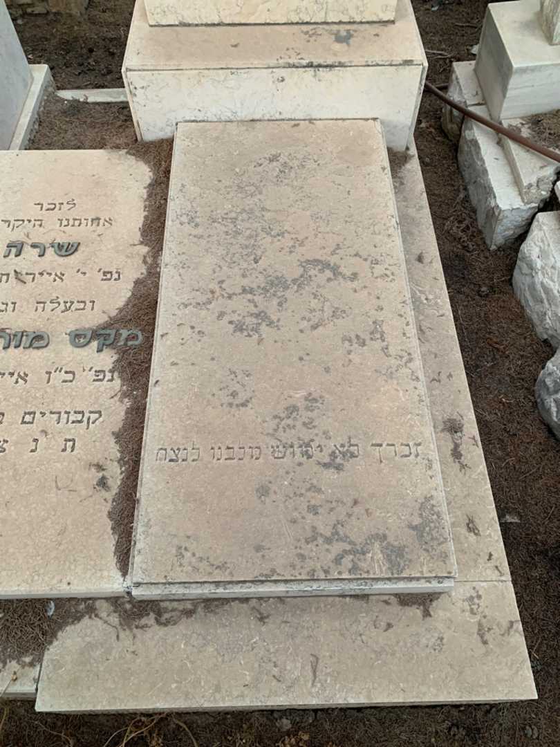 קברו של רבקה לוי. תמונה 3