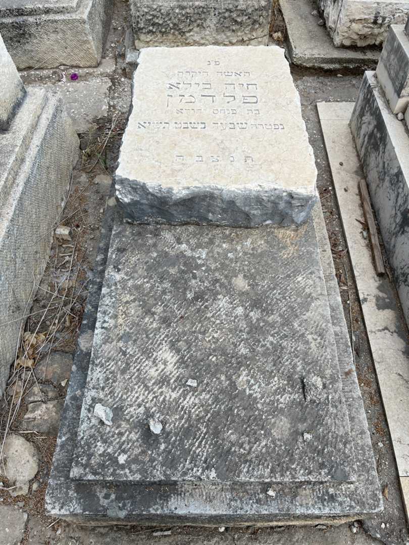 קברו של חיה בילה פלדמן יהודא