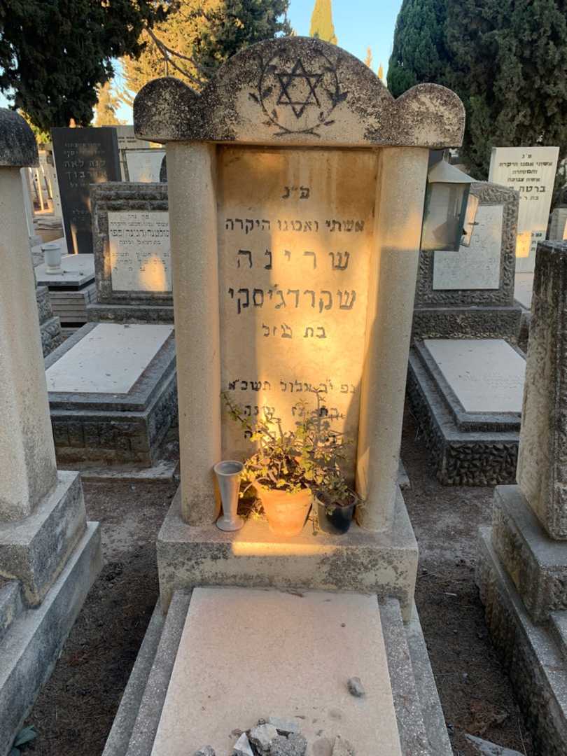קברו של שרינה שקרדג׳יסקי. תמונה 1
