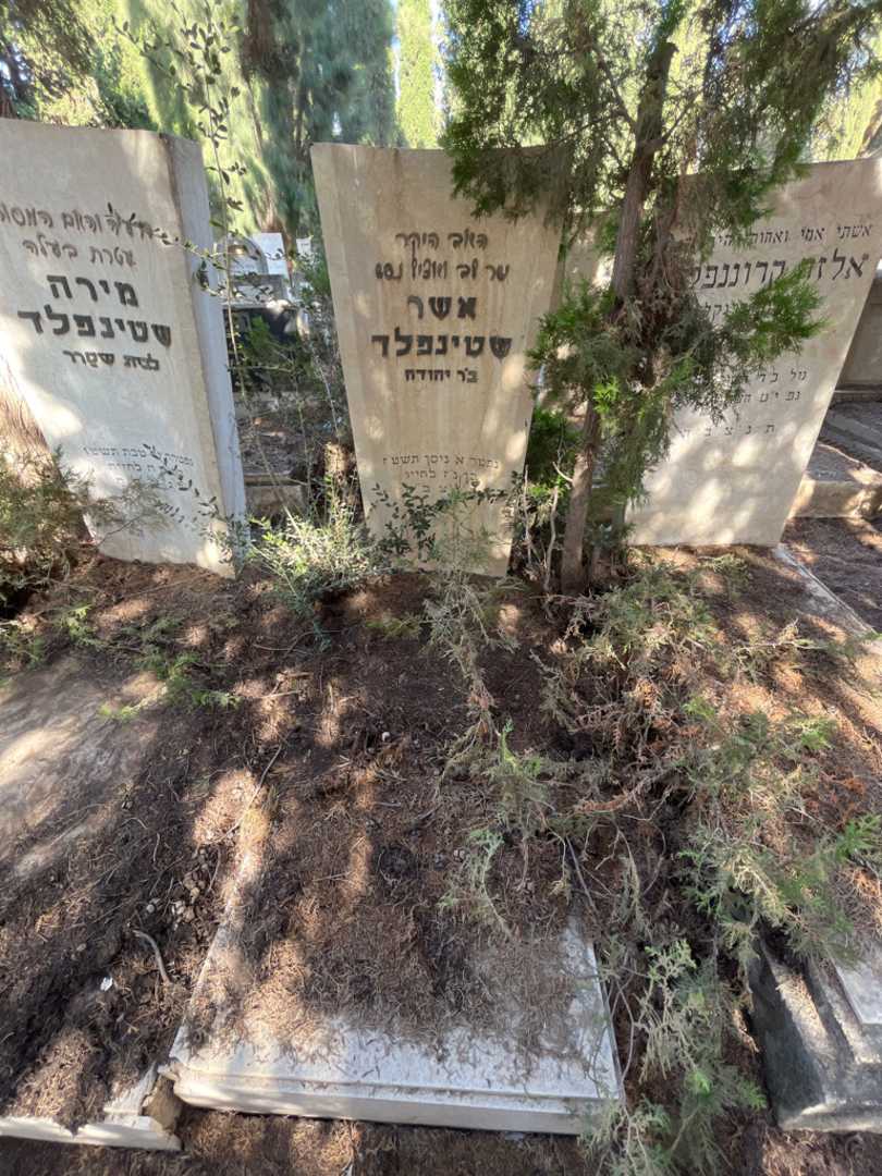 קברו של אשר שטינפלד. תמונה 1