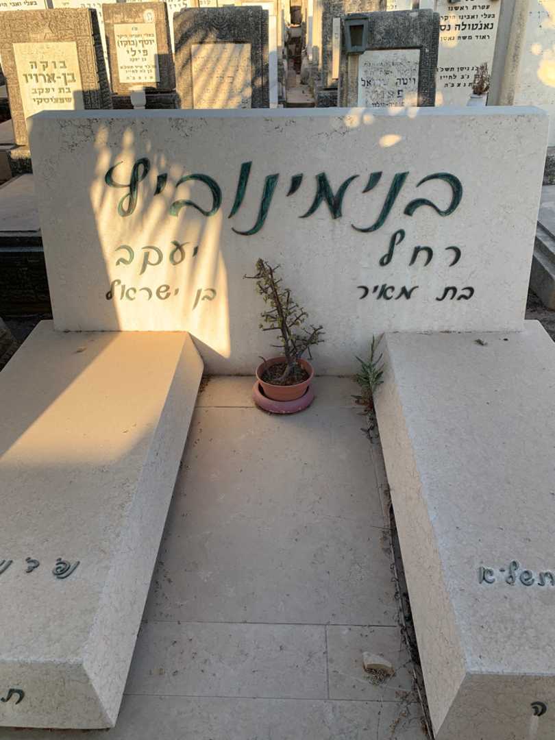 קברו של רחל בנימינוביץ. תמונה 1