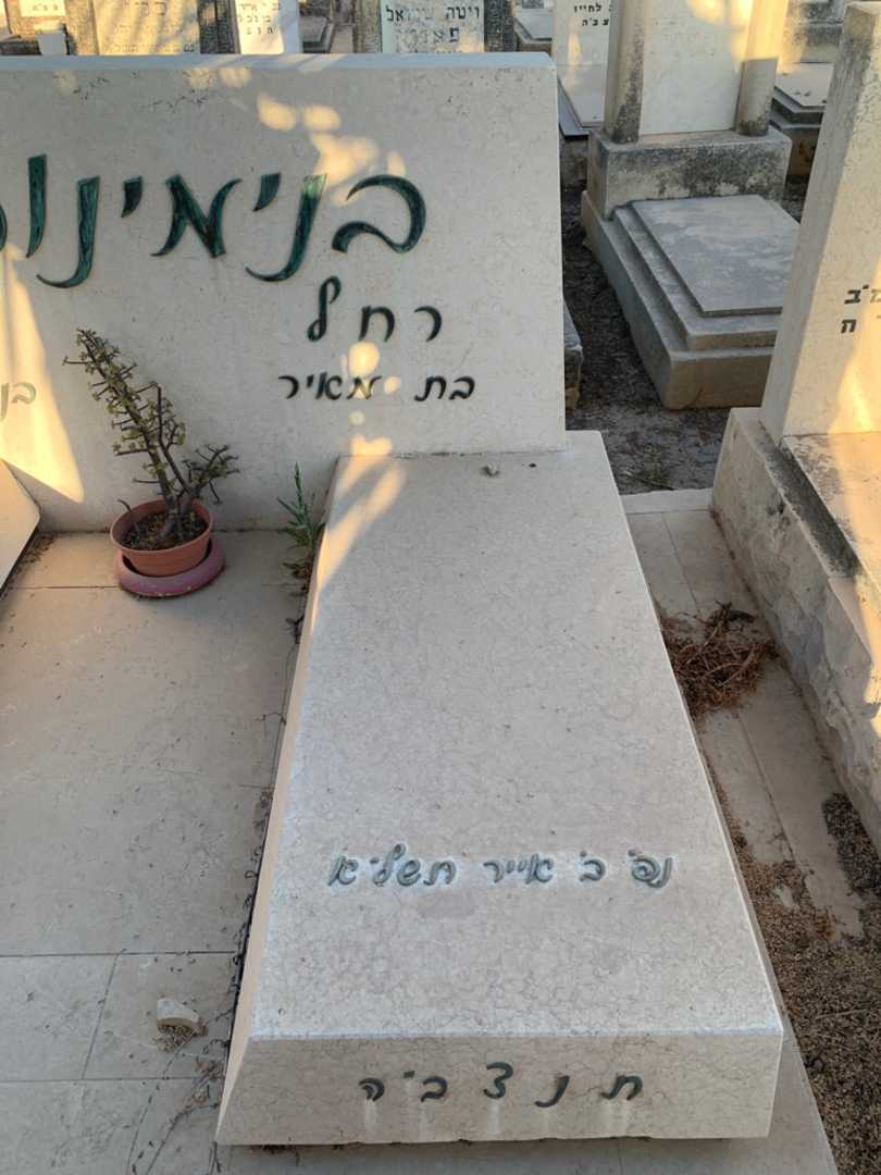 קברו של רחל בנימינוביץ. תמונה 2