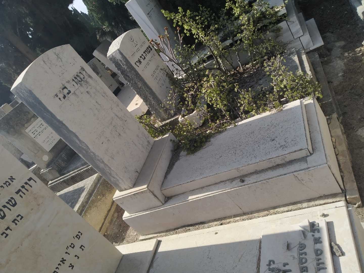 קברו של ינטה בנד