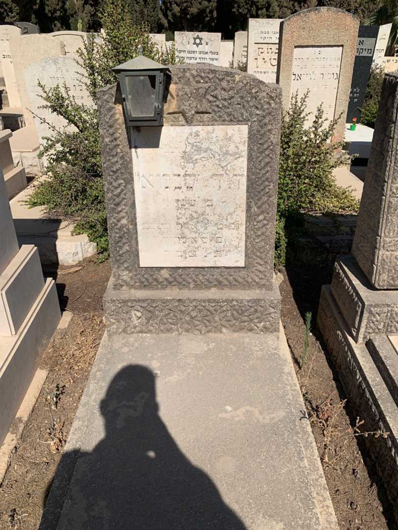קברו של דוד סלמאי