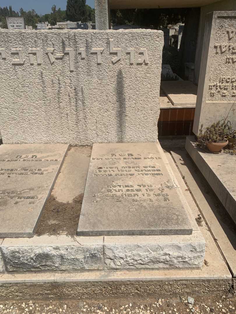 קברו של משה גולדין-זהבי. תמונה 1