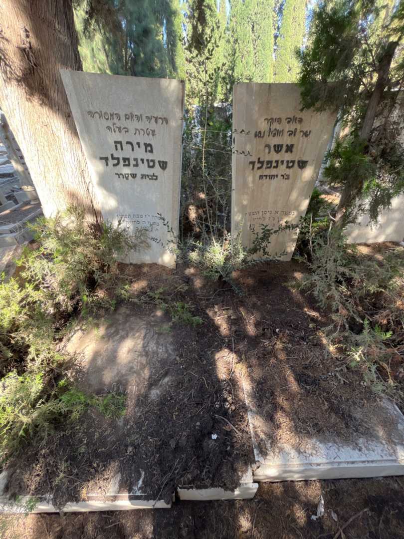 קברו של אשר שטינפלד. תמונה 2