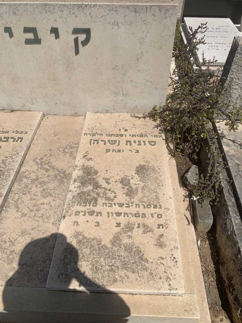 קברו של סוניה (שרה) קיבי. תמונה 1