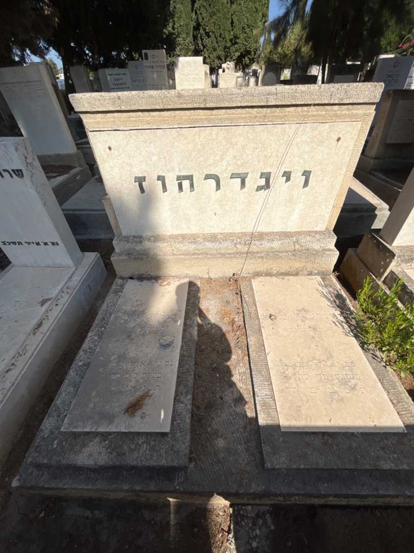קברו של חנה ויגדרהוז. תמונה 2