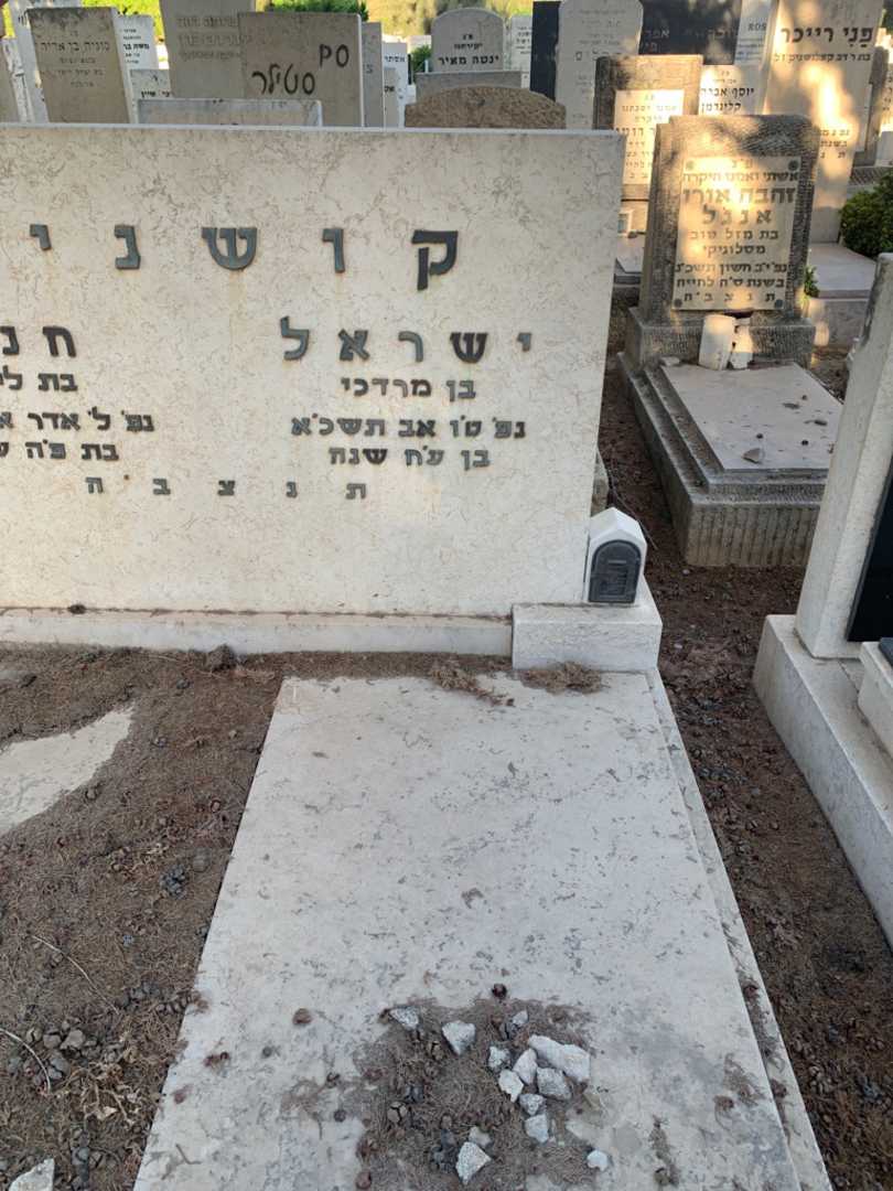 קברו של ישראל קושניר. תמונה 2