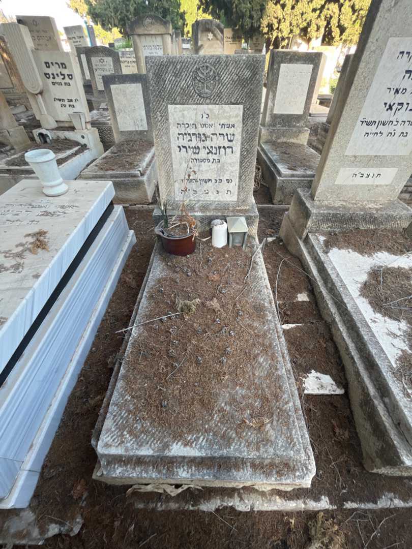 קברו של שרה גורג׳יה רוזנאי שירי