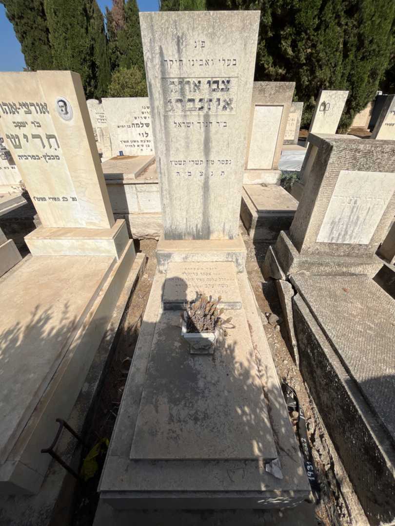 קברו של צבי אריה איזנברג