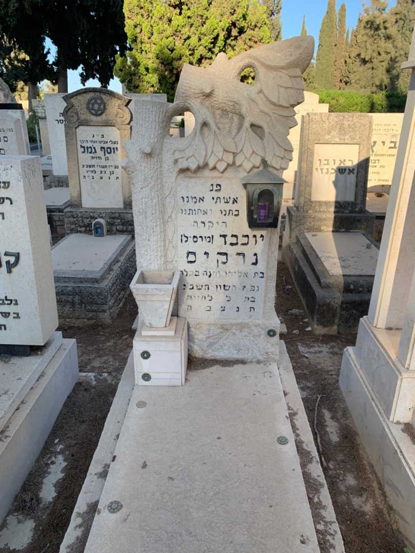 קברו של יוכבד מרסיל נרקיס. תמונה 1