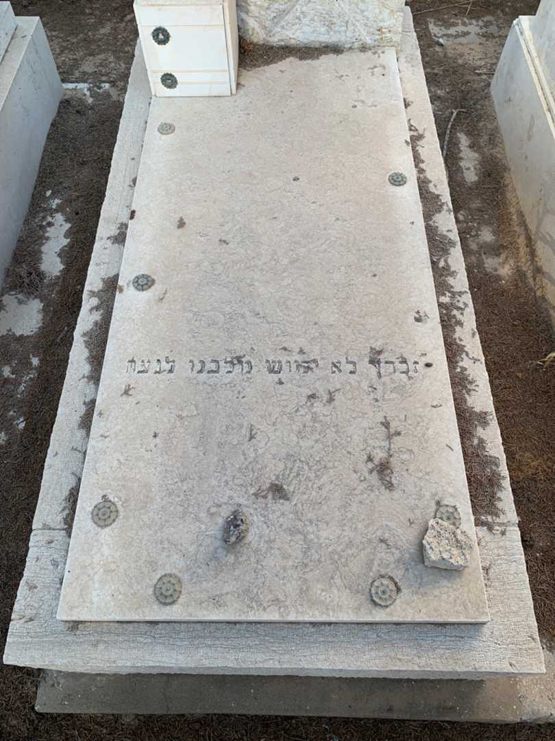 קברו של יוכבד מרסיל נרקיס. תמונה 2