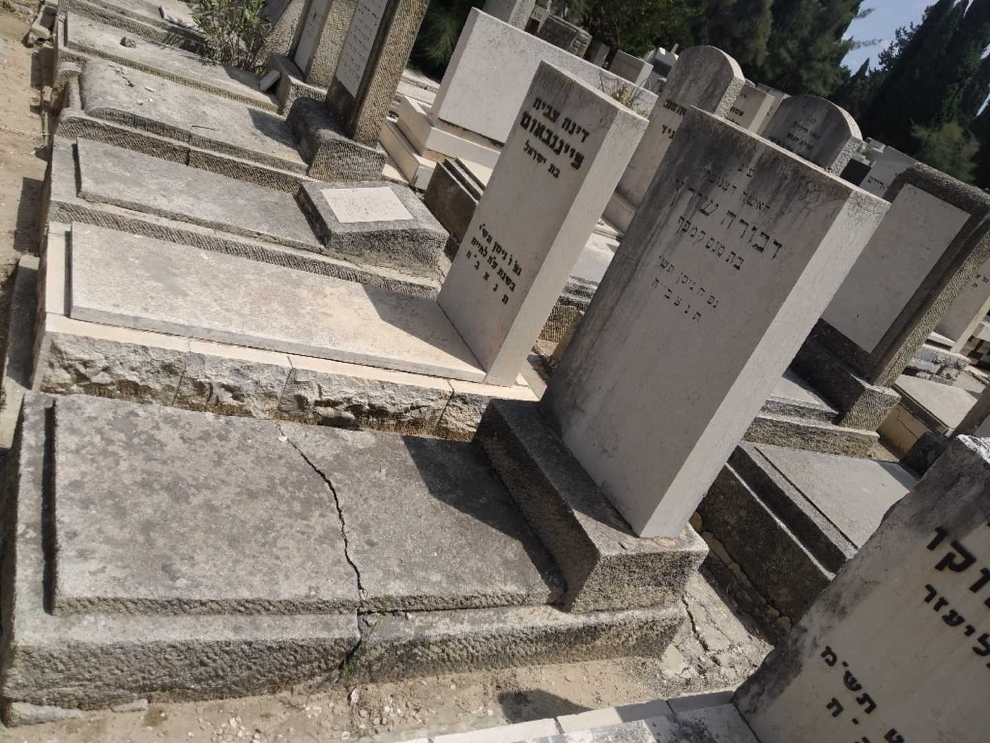 קברו של דבורה שורץ