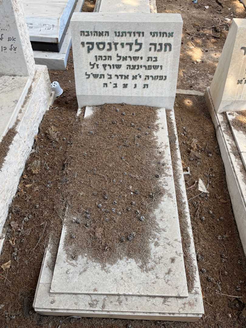 קברו של חנה לדיז׳נסקי. תמונה 1