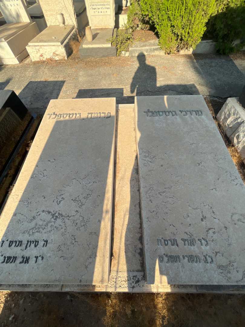 קברו של מרדכי גוטספלד. תמונה 2