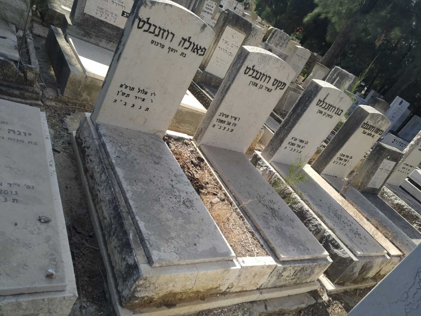 קברו של פאולה רוזנבלט. תמונה 2