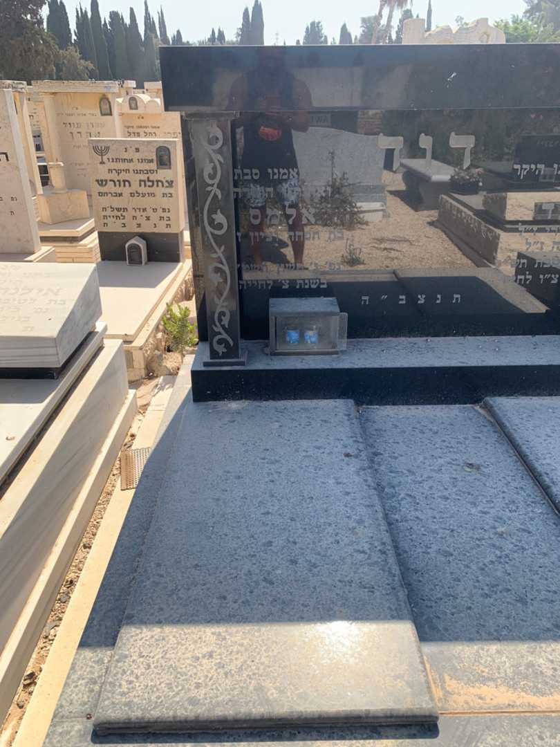 קברו של אלמס דוד. תמונה 2