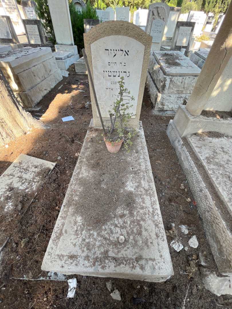 קברו של אליעזר גרינשטין