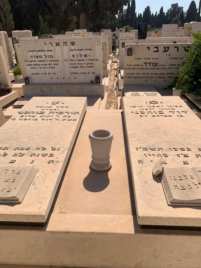 קברו של דוד כוחלני. תמונה 1