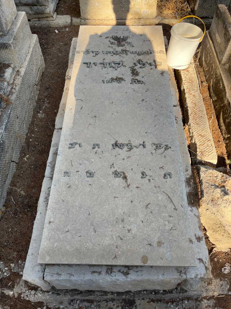 קברו של לילי קוריד