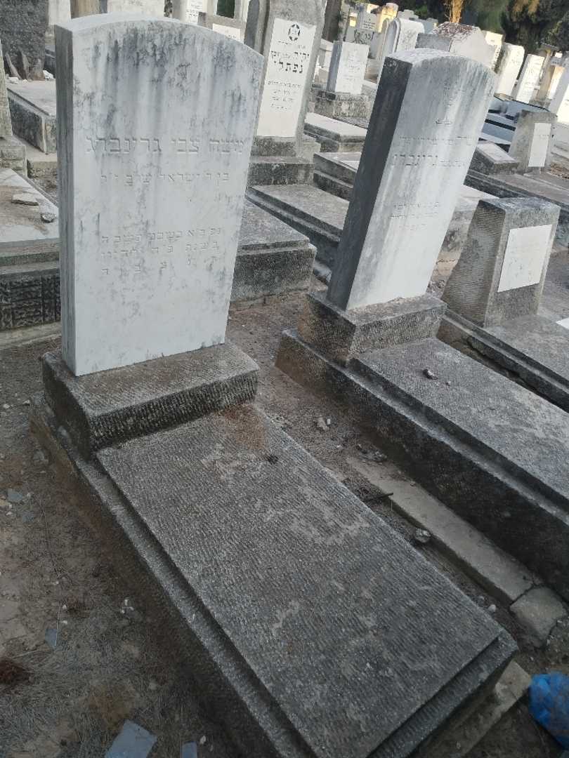 קברו של משה צבי גרינברג
