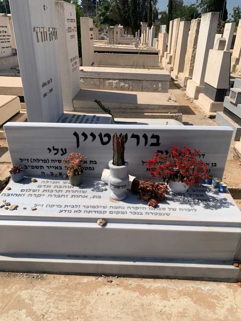 קברו של נחמיה "פרלה" בורשטיין. תמונה 1