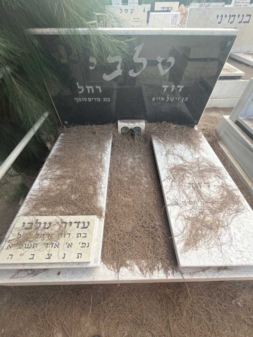 קברו של דוד עלבי. תמונה 1