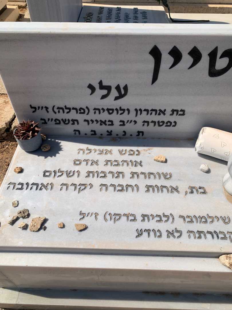 קברו של נחמיה "פרלה" בורשטיין. תמונה 2