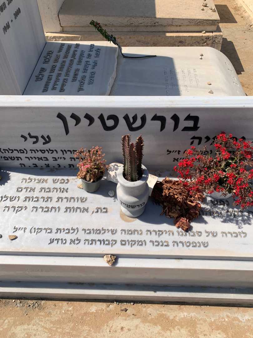 קברו של נחמיה "פרלה" בורשטיין. תמונה 3